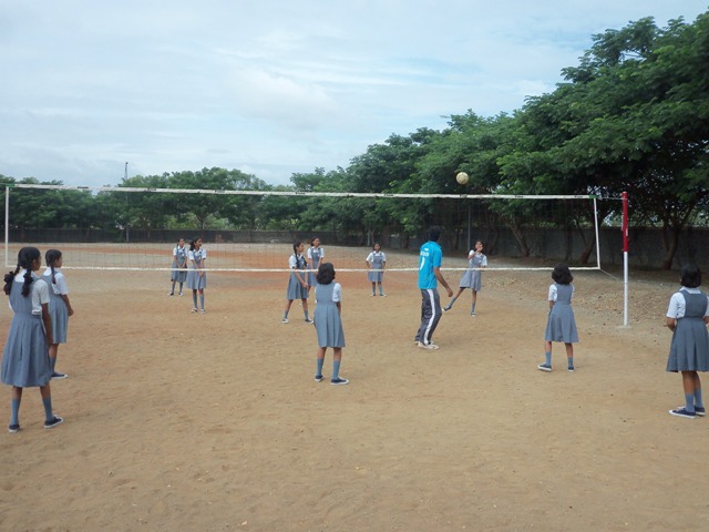 Volleyball